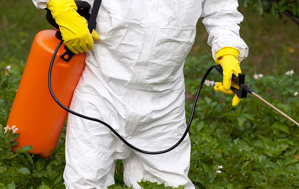 Organic sprays to eliminate pest